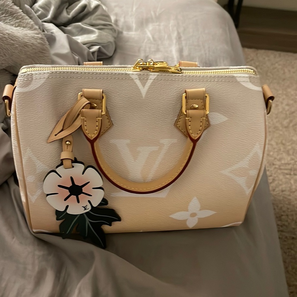 COPY - 💝 Louis Vuitton By the Pool Speedy 25 B 💝